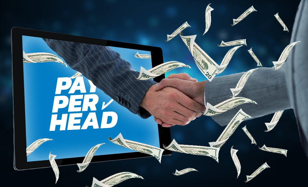 Choose-the-right-per-head-company-